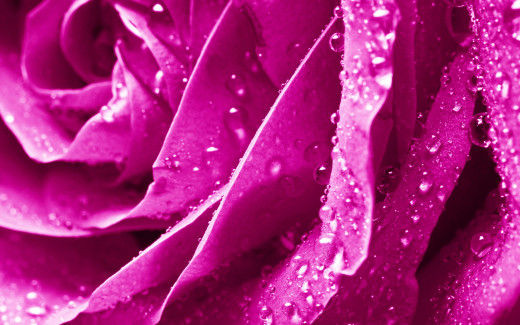 1011915 (a): :2880x1800